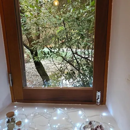 Moinho Das Fragas Figueiro Dos Vinhos Exterior foto