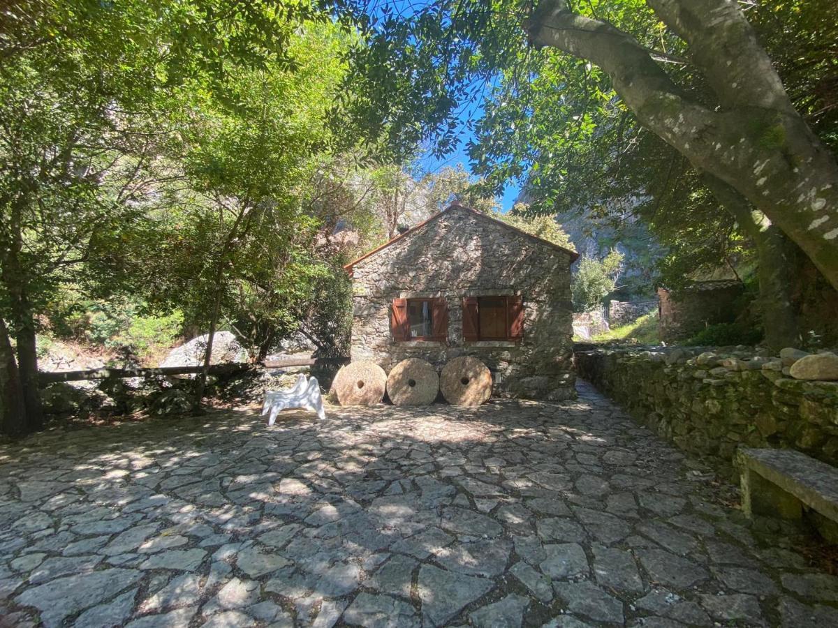 Holiday home Moinho Fragas *
