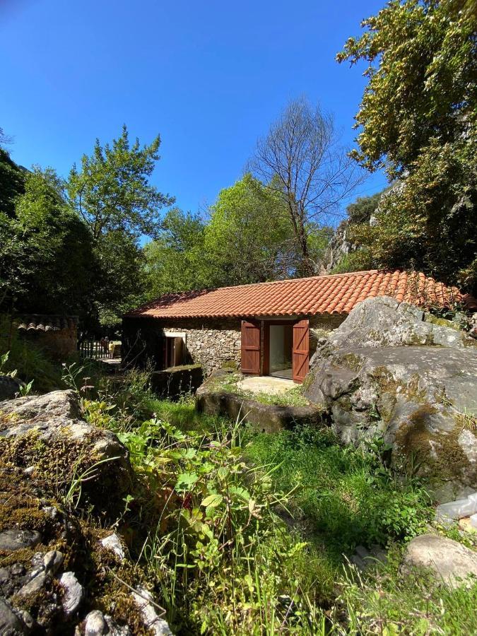 Casa de Férias Moinho Fragas Figueiro Dos Vinhos
