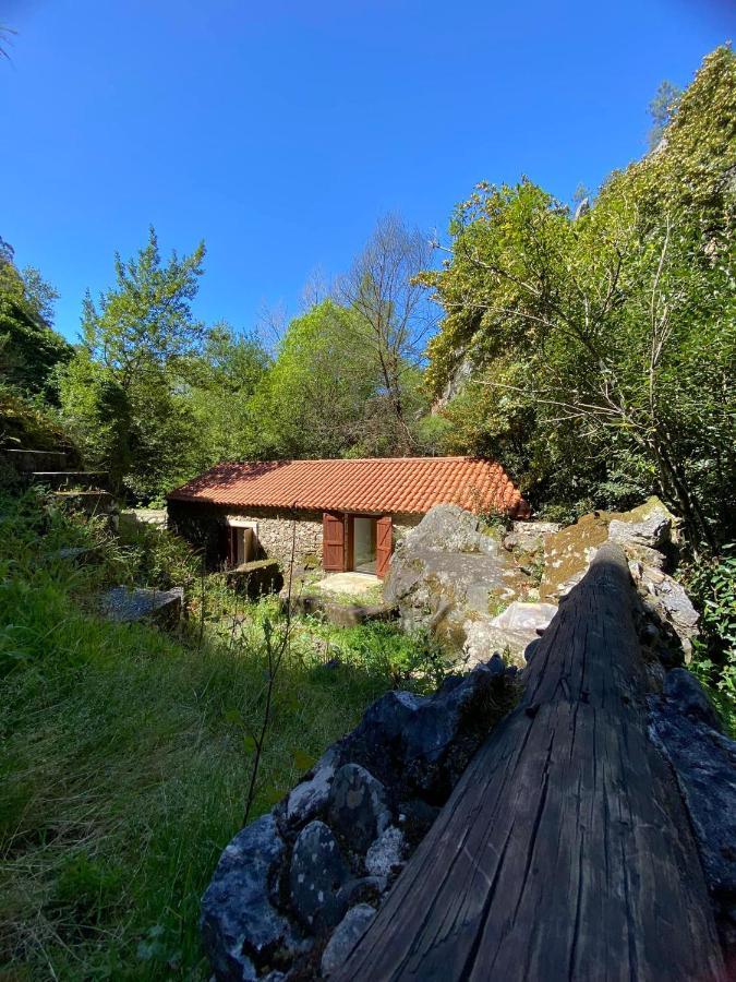 Moinho Fragas Holiday home