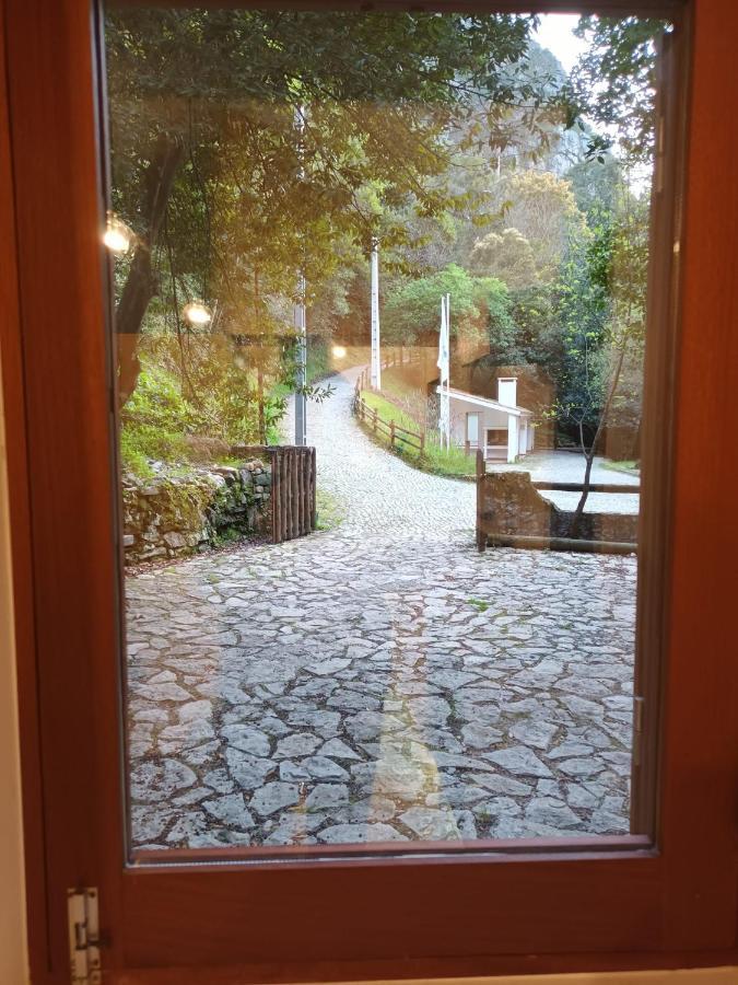 Casa de Férias Moinho Fragas